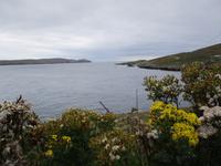 Dursey Island &ndash; &copy; Constanze Hölig (Eberhardt TRAVEL)