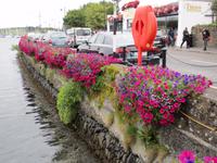 Kinsale &ndash; &copy; Constanze Hölig (Eberhardt TRAVEL)