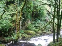 043-Torc-Waterfall &ndash; &copy; Dirk Schlosser (Eberhardt TRAVEL)