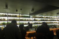 051-Killarney_Whiskey-Bar &ndash; &copy; Dirk Schlosser (Eberhardt TRAVEL)