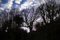 Howth