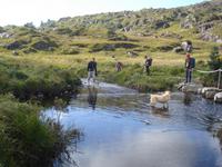 Wasserlauf &ndash; &copy; Claudia Bernhardt (Eberhardt TRAVEL)