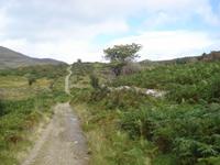 Old Kenmare Road &ndash; &copy; Claudia Bernhardt (Eberhardt TRAVEL)