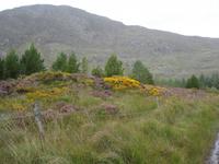 Old Kenmare Road &ndash; &copy; Claudia Bernhardt (Eberhardt TRAVEL)