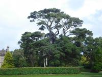 DSC06751 &ndash; &copy; Claudia Bernhardt (Eberhardt TRAVEL)