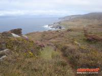Nordküste Sheeps Head &ndash; &copy; Claudia Bernhardt (Eberhardt TRAVEL)