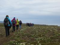 17.06.2016: Wanderung bei Raudanes &ndash; &copy; Britt Reuter-Bracklow (Eberhardt TRAVEL)