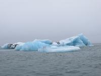 19.06.2016: Mit dem Amphibienfahrzeug durch die Gletscherlagune Jökulsarlon &ndash; &copy; Britt Reuter-Bracklow (Eberhardt TRAVEL)