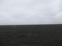 20.06.2016: am schwarzern Strand von Vik &ndash; &copy; Britt Reuter-Bracklow (Eberhardt TRAVEL)