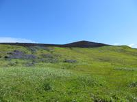 21.06.2016: auf den Westmänner Inseln - Wanderung auf dem Eldfell