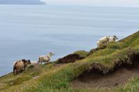 Raudanes &ndash; &copy; Eric Richter (Eberhardt TRAVEL)