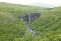 Svartifoss &ndash; &copy; René Wächtler (Eberhardt TRAVEL)