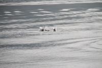 Whale Watching Tour &ndash; &copy; Jacob Spangenberg (Eberhardt TRAVEL)