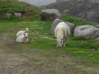 Lofoten &ndash; &copy; Anne-Katrin Müller (Eberhardt TRAVEL)