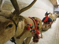 Im Tromsø-Museum &ndash; &copy; Marion Kottlos (Eberhardt TRAVEL)
