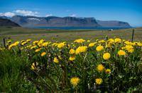 Skrudur auf Island &ndash; &copy; Katharina Kurianowski (Eberhardt TRAVEL)