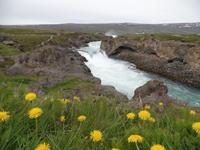 Kreuzfahrt mit AIDAsol Skandinavien – Island, Godafoss &ndash; &copy; Mario Scheinert (Eberhardt TRAVEL)