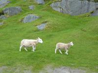 159 Lofoten_Lekness &ndash; &copy; Jens Petzoldt (Eberhardt TRAVEL)