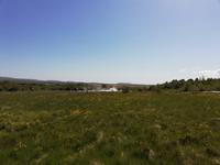 Geysire Island &ndash; &copy; Astrid Janke (Eberhardt TRAVEL)