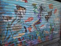 Bild von Franco the Great &ndash; &copy; Kristin Werner (Eberhardt TRAVEL)