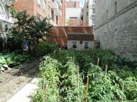 Green Acre &ndash; &copy; Kristin Werner (Eberhardt TRAVEL)
