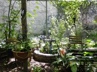 Joseph Daniel Wilson Gardens  &ndash; &copy; Kristin Werner (Eberhardt TRAVEL)