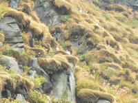 Papageientauscher &ndash; &copy; Vicky Kern (Eberhardt TRAVEL)