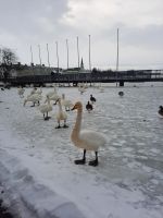 Reykjavik &ndash; &copy; Sylvia Sann (Eberhardt TRAVEL)