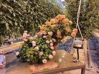 &copy; Sylvia Sann (Eberhardt TRAVEL)