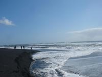 Strand bei Vik