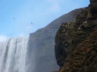 Seljalandsfoss &ndash; &copy; Isabell Glaß (Eberhardt TRAVEL)