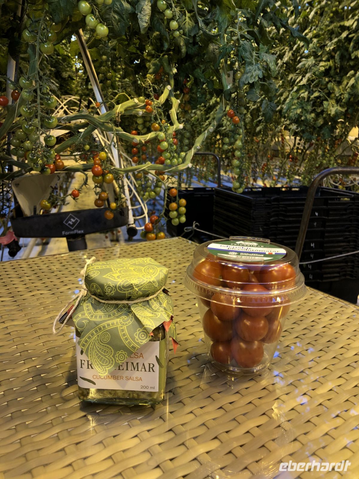 Fridheimar Tomatenfarm (3) &ndash; &copy; Annika Lembke (Eberhardt TRAVEL)