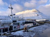 Walbeobachtungstour (3) &ndash; &copy; Annika Lembke (Eberhardt TRAVEL)