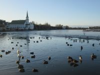 Reykjavik:  &ndash; &copy; Heike Heinen (Eberhardt TRAVEL)