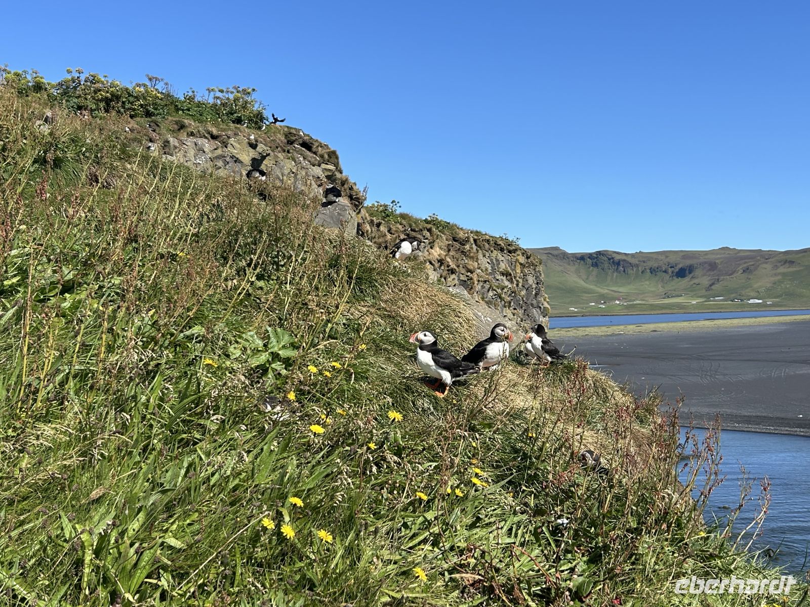 Papageientaucher &ndash; &copy; Mary Dobberkau (Eberhardt TRAVEL)