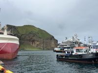 Hafen von Heimaey &ndash; &copy; Mary Dobberkau (Eberhardt TRAVEL)