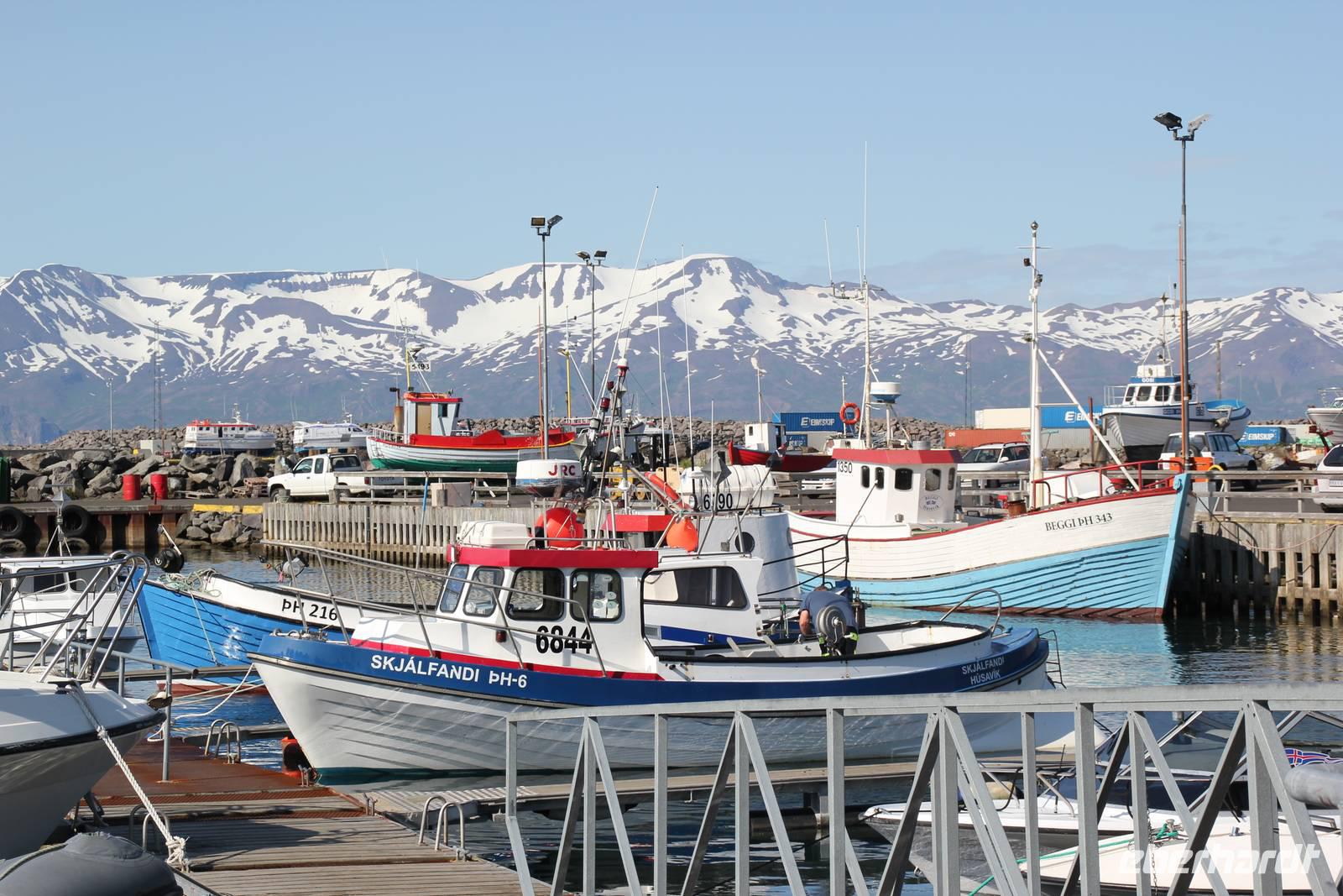 Island - Husavik Hafen &ndash; &copy; Franziska Bergmann (Eberhardt TRAVEL)