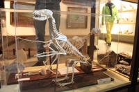 im Skogar-Museum &ndash; &copy; Tessa Gäbler (Eberhardt TRAVEL)