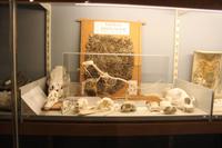 im Skogar-Museum &ndash; &copy; Tessa Gäbler (Eberhardt TRAVEL)
