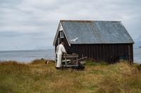 Flatey &ndash; &copy; Katharina Kurianowski (Eberhardt TRAVEL)
