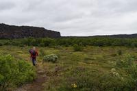 Asbyrgi &ndash; &copy; Katharina Kurianowski (Eberhardt TRAVEL)