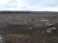 Island, Weg zum Dettifoss &ndash; &copy; Ria Heilmann (Eberhardt TRAVEL)