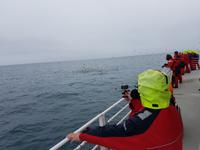 087_Whale Watching &ndash; &copy; Jörg Nesse (Eberhardt TRAVEL)
