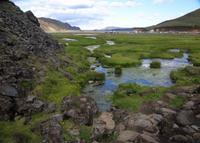 Sumpflandschaft &ndash; &copy; Nicole Fischer (Eberhardt TRAVEL)