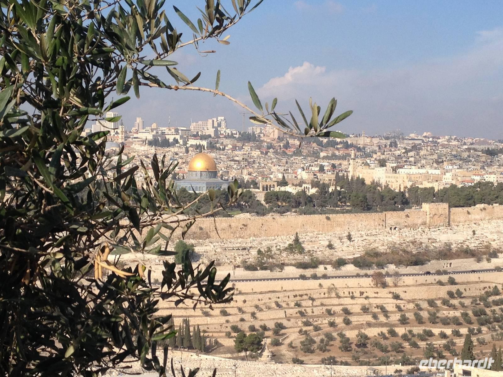 0563 Jerusalem - Blick vom Ölberg &ndash; &copy; Patrick Fritzsche (Eberhardt TRAVEL)