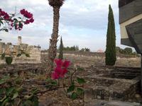 0127 Kapernaum &ndash; &copy; Patrick Fritzsche (Eberhardt TRAVEL)