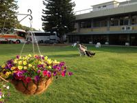 0139 Kibbuz Nof Ginossar &ndash; &copy; Patrick Fritzsche (Eberhardt TRAVEL)