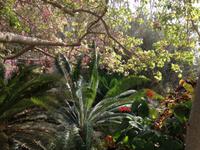 0282 botanischer Garten En Gedi &ndash; &copy; Patrick Fritzsche (Eberhardt TRAVEL)