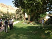 0285 botanischer Garten En Gedi &ndash; &copy; Patrick Fritzsche (Eberhardt TRAVEL)