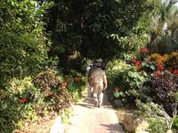 0294 botanischer Garten En Gedi &ndash; &copy; Patrick Fritzsche (Eberhardt TRAVEL)